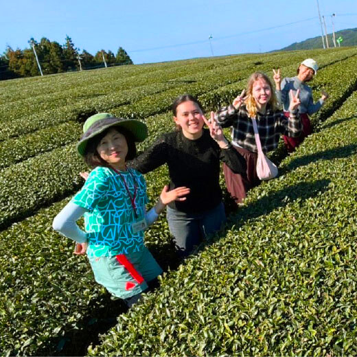 Nanatomo Tea Tour 楽しいお茶畑ツアー